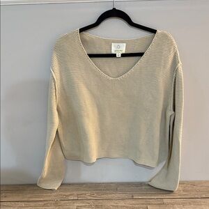 Aerie Women's Beige V-Neck Sweater